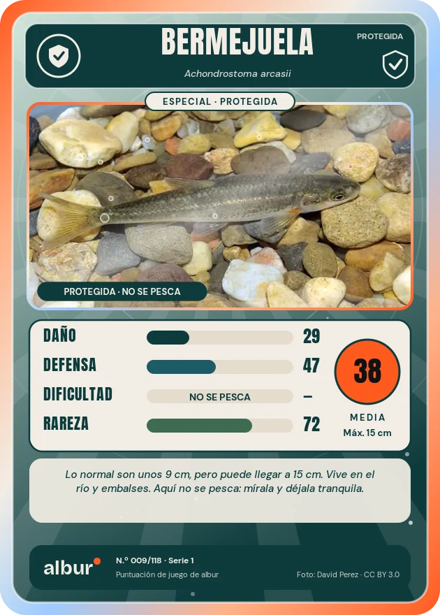 Carta de albur: Bermejuela