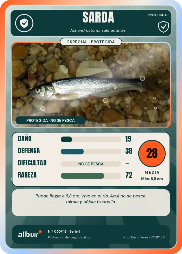 Carta de albur: Sarda