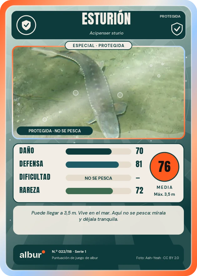 Carta de albur: Esturión