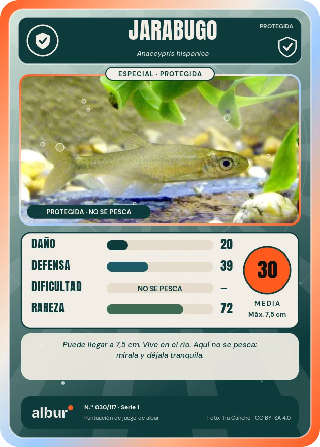 Carta de albur: Jarabugo (Anaecypris hispanica)