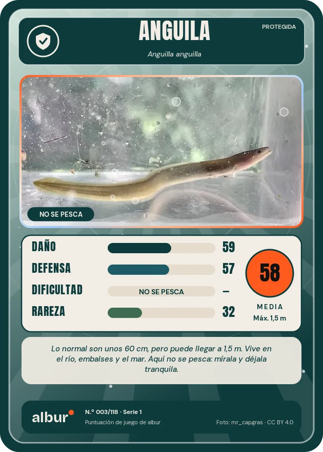 Carta de albur: Anguila