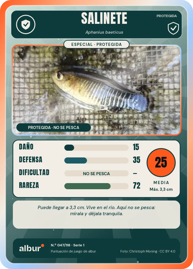 Carta de albur: Salinete