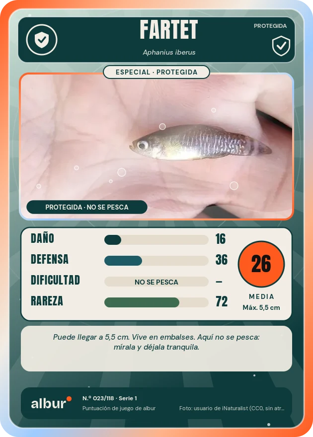 Carta de albur: Fartet