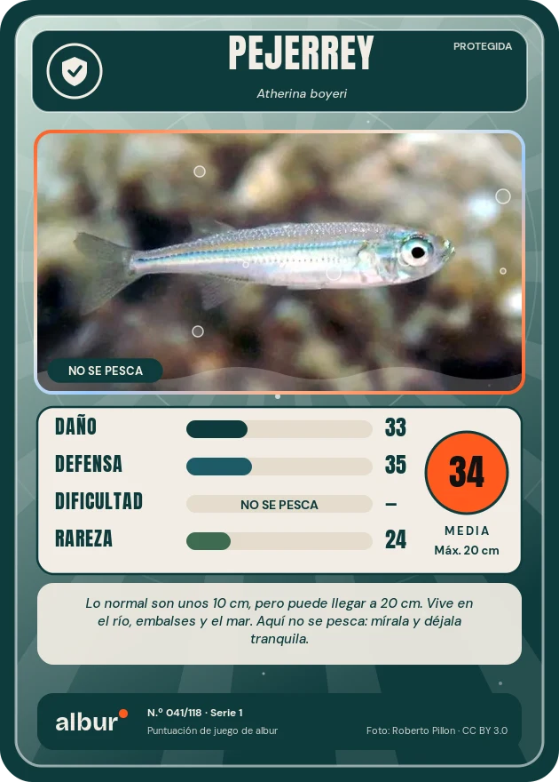 Carta de albur: Pejerrey