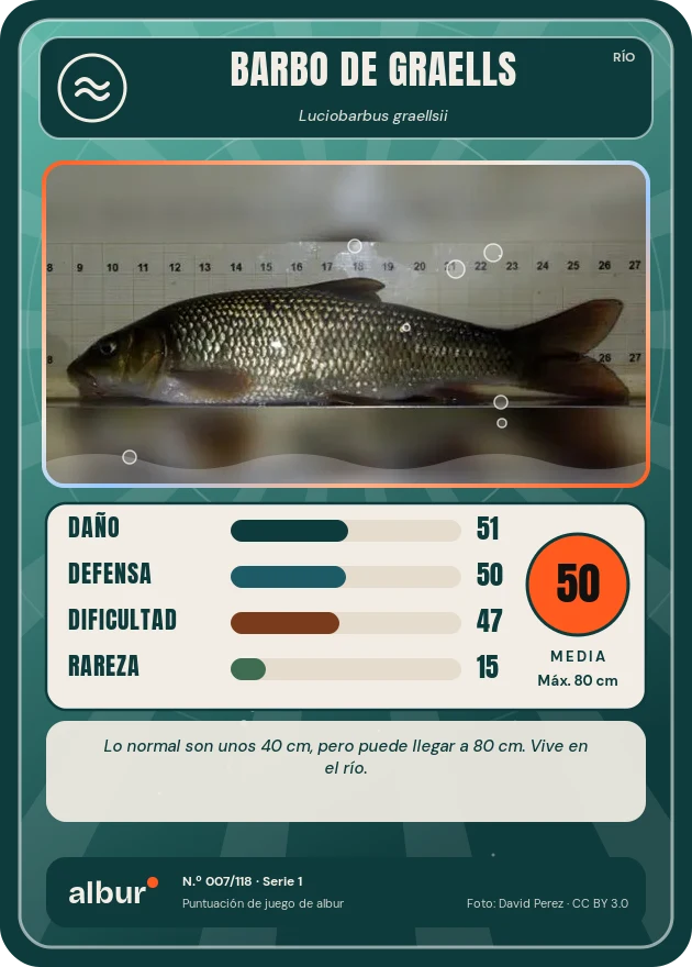 Carta de albur: Barbo de Graells