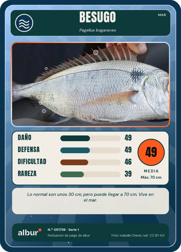 Carta de albur: Besugo