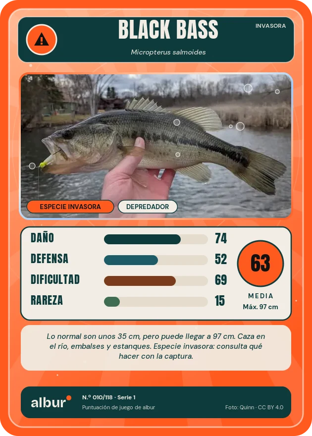 Carta de albur: Black bass