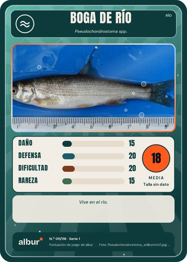 Carta de albur: Boga de río