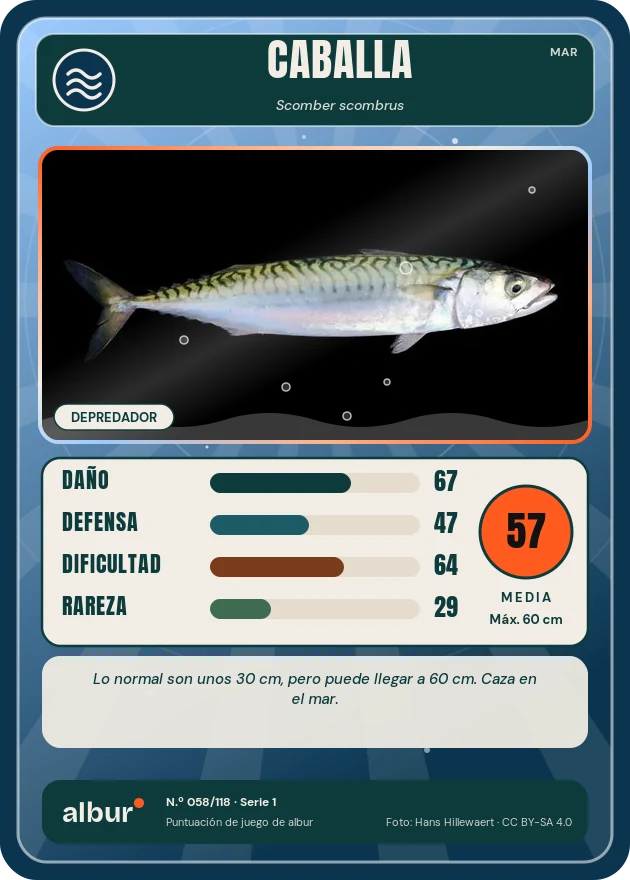 Carta de albur: Caballa