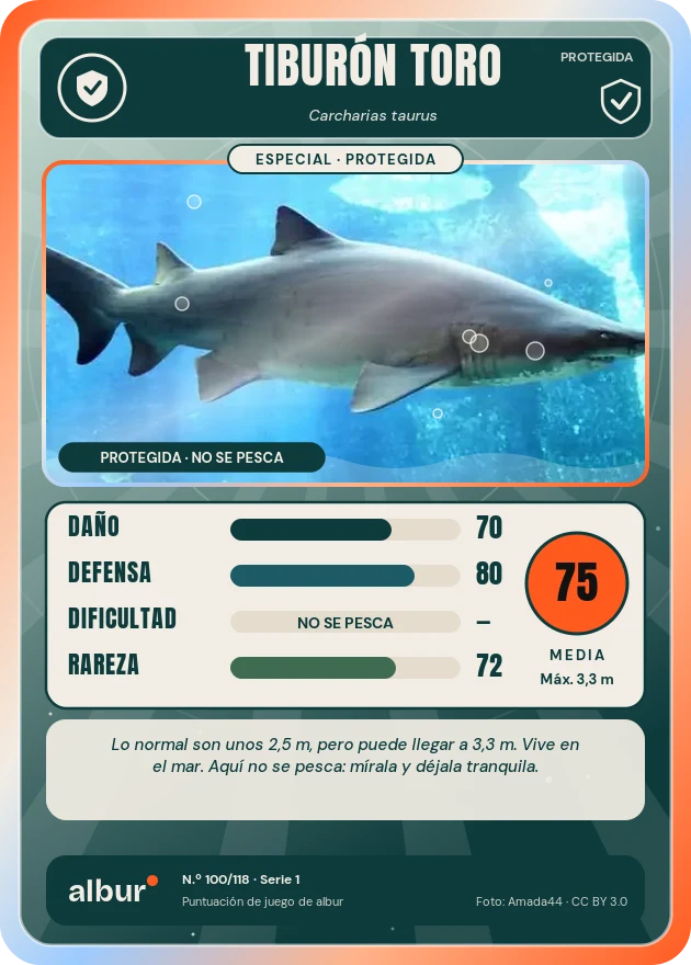 Carta de albur: Tiburón toro