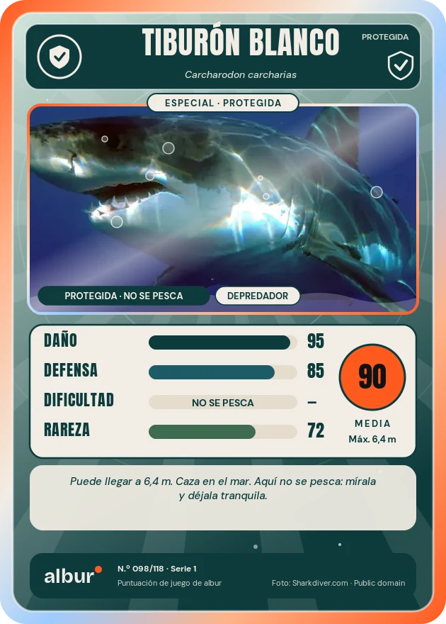 Carta de albur: Tiburón blanco