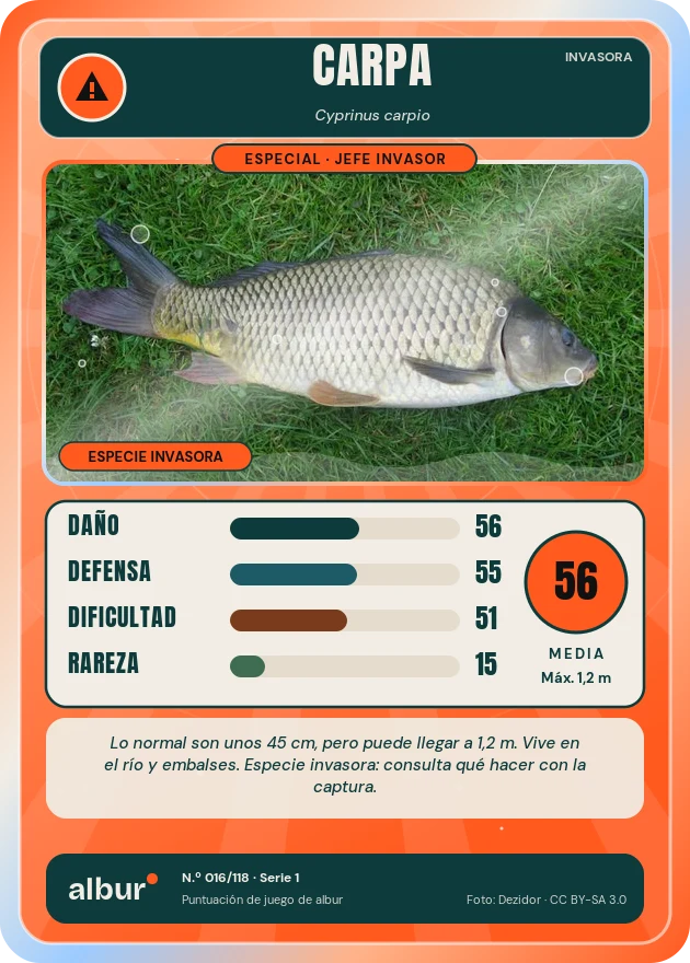 Carta de albur: Carpa