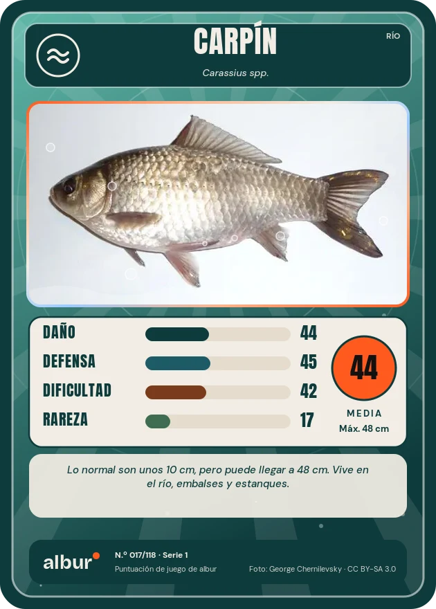 Carta de albur: Carpín