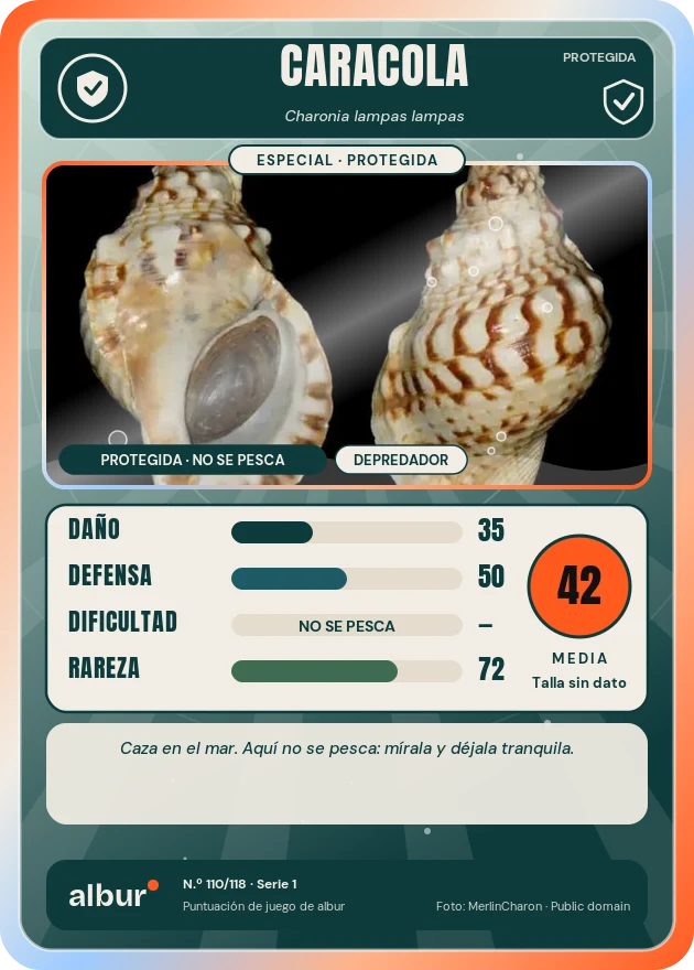 Carta de albur: Caracola