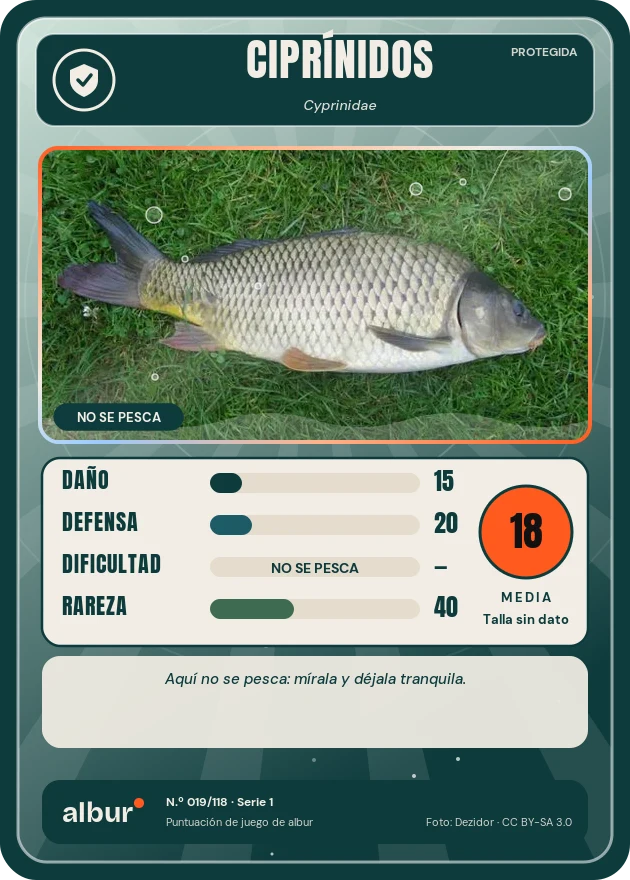 Carta de albur: Ciprínidos