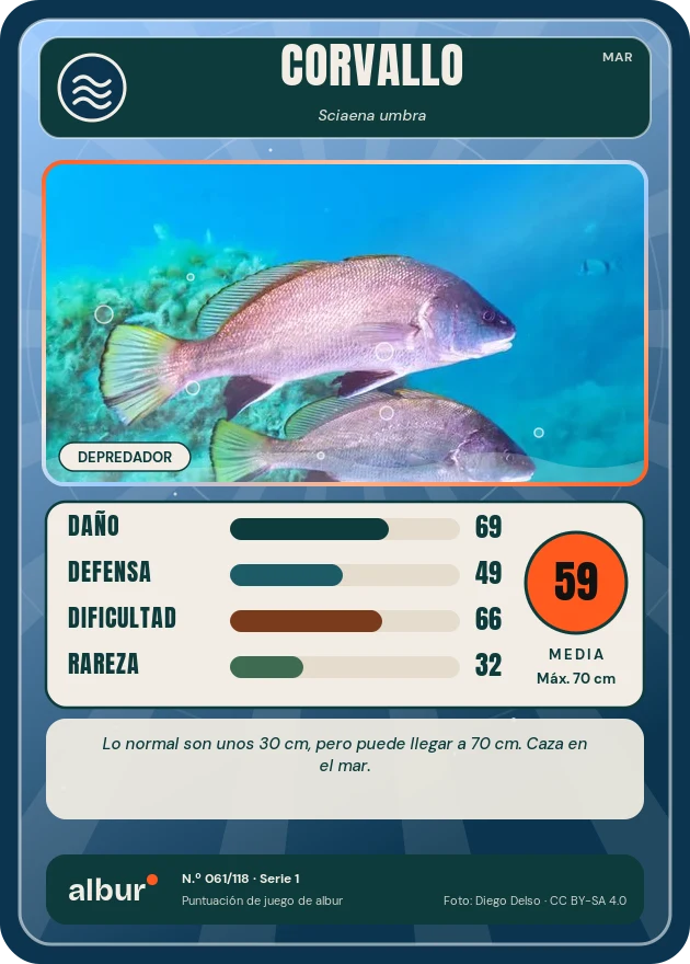 Carta de albur: Corvallo