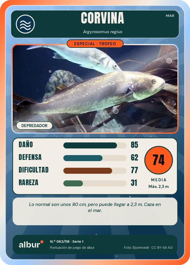 Carta de albur: Corvina