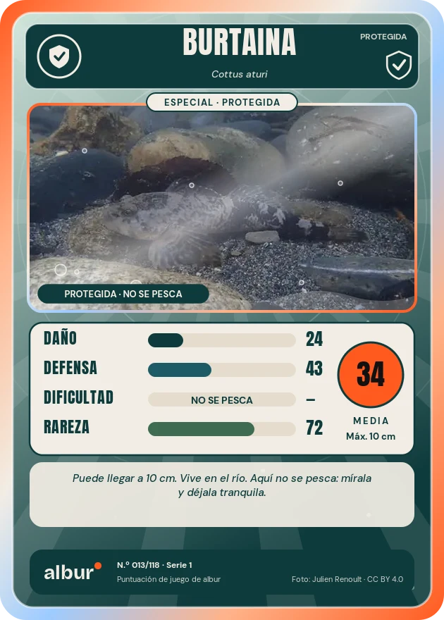 Carta de albur: Burtaina