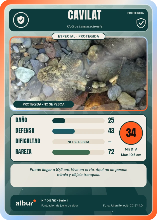 Carta de albur: Cavilat