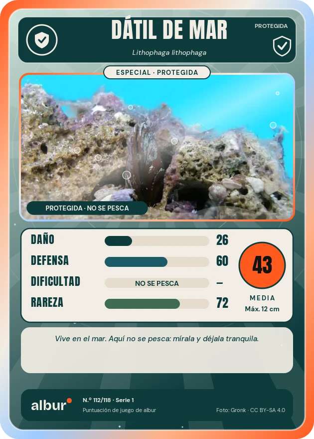 Carta de albur: Dátil de mar