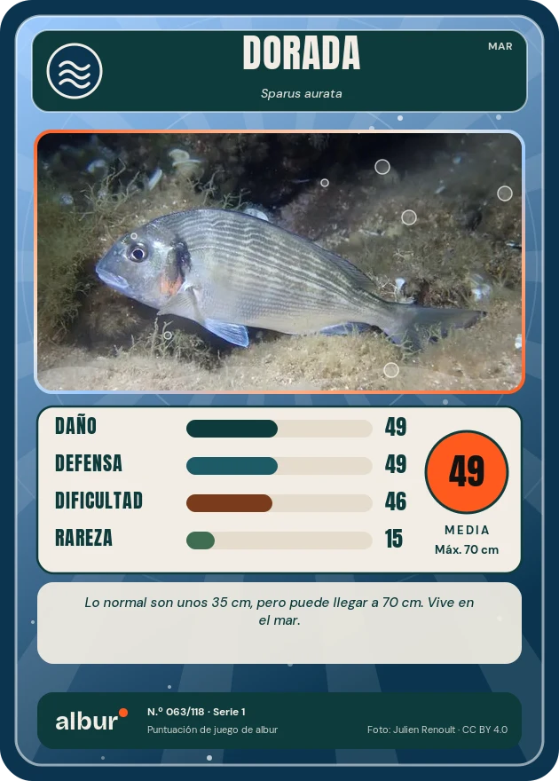 Carta de albur: Dorada