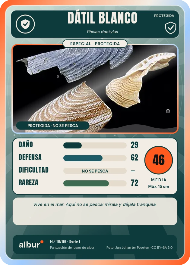 Carta de albur: Dátil blanco