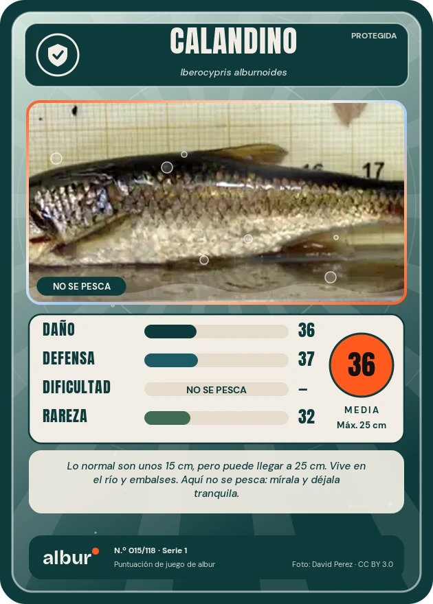 Carta de albur: Calandino