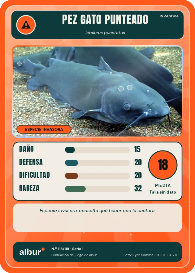 Carta de albur: Pez gato punteado