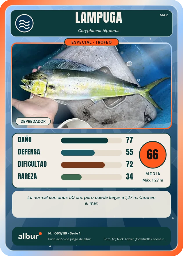Carta de albur: Lampuga