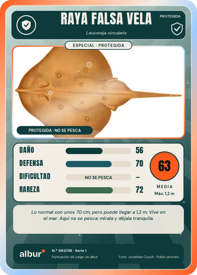 Carta de albur: Raya falsa vela