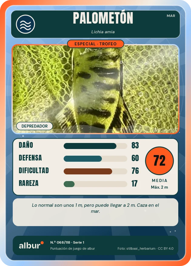 Carta de albur: Palometón