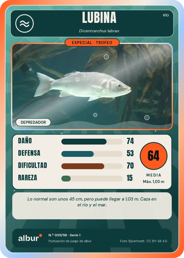 Carta de albur: Lubina