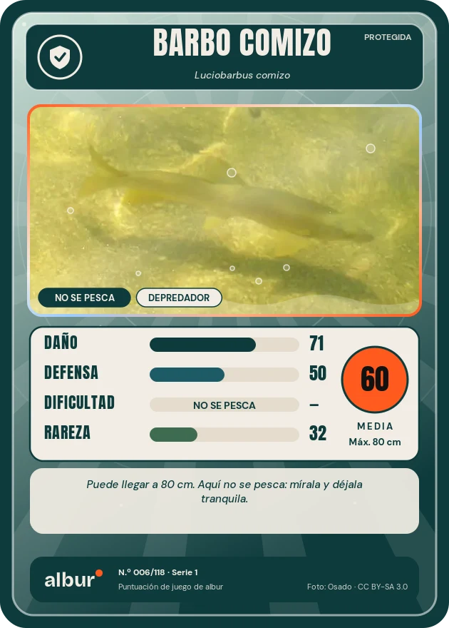 Carta de albur: Barbo comizo