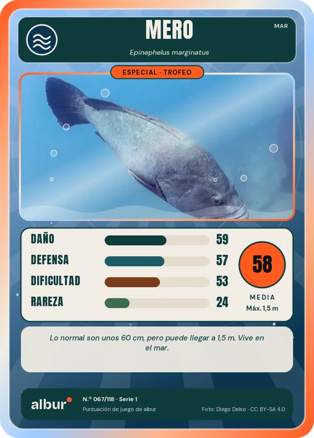 Carta de albur: Mero