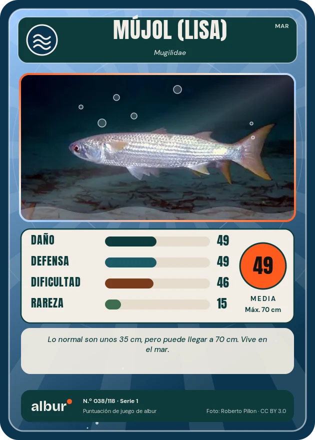 Carta de albur: Mújol (lisa)