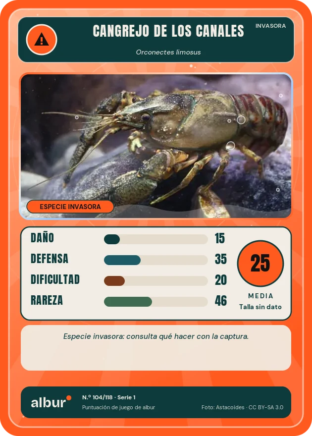 Carta de albur: Cangrejo de los canales
