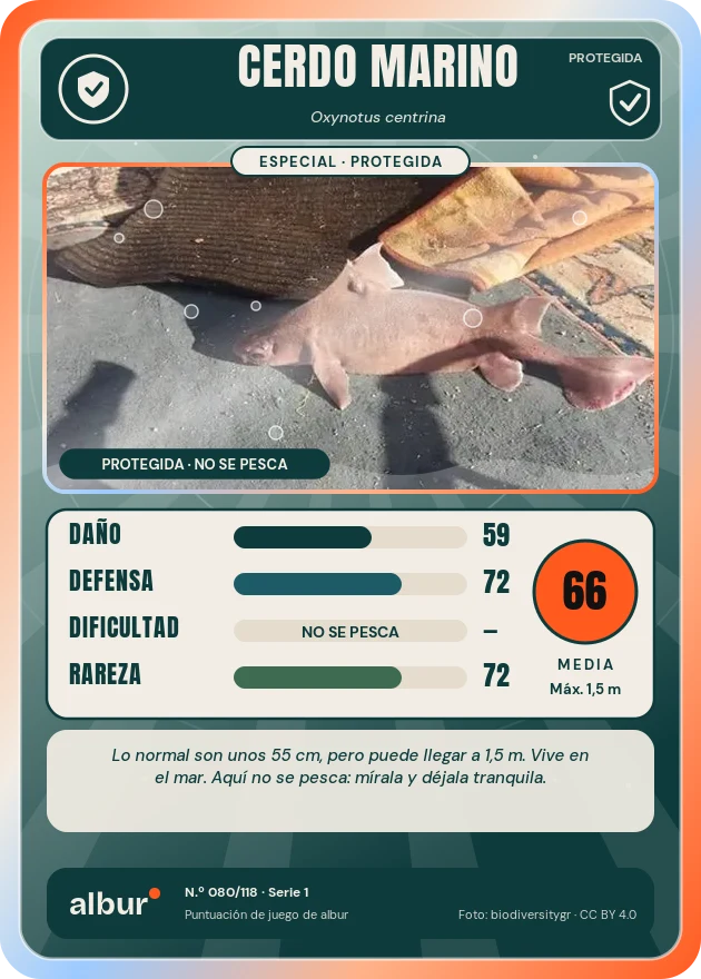 Carta de albur: Cerdo marino