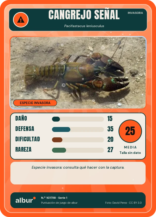 Carta de albur: Cangrejo señal