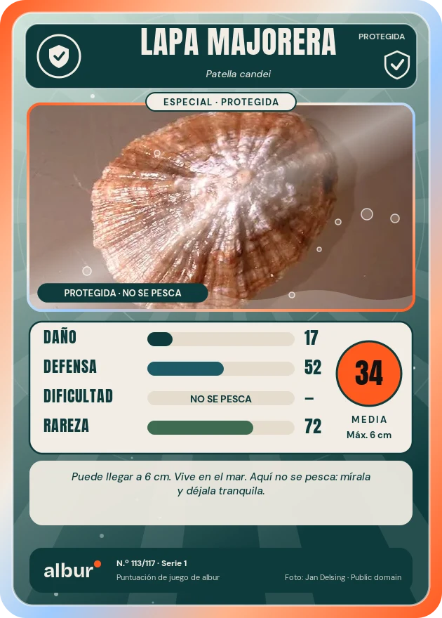 Carta de albur: Lapa majorera (Patella candei)