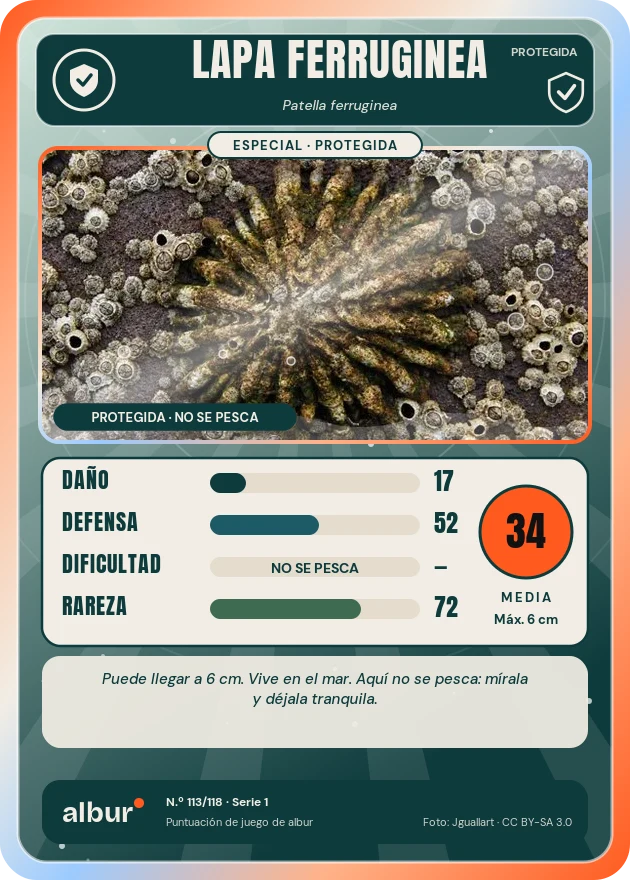 Carta de albur: Lapa ferruginea