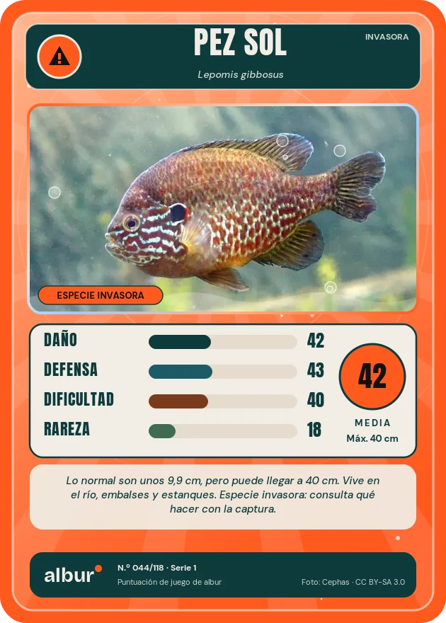 Carta de albur: Pez sol