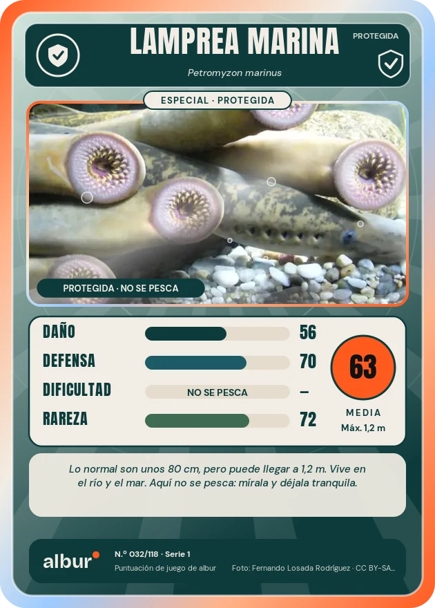 Carta de albur: Lamprea marina
