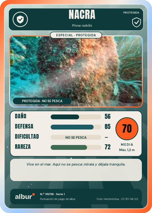 Carta de albur: Nacra