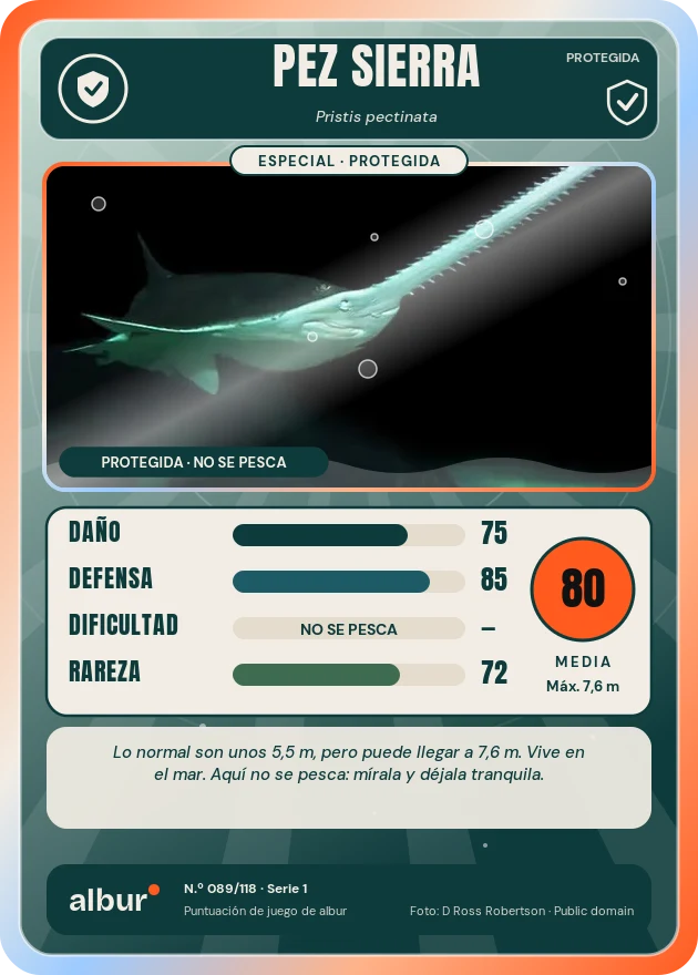 Carta de albur: Pez sierra (Pristis pectinata)
