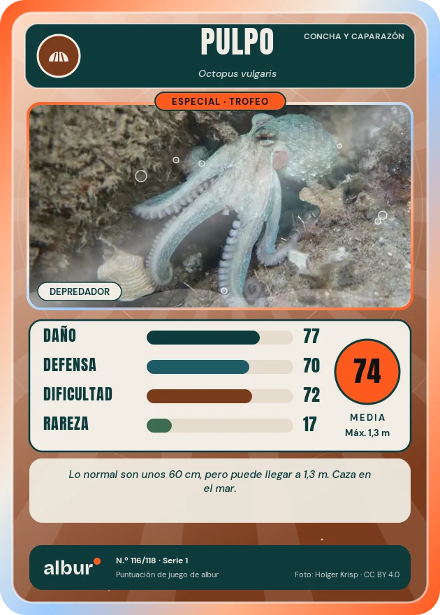 Carta de albur: Pulpo