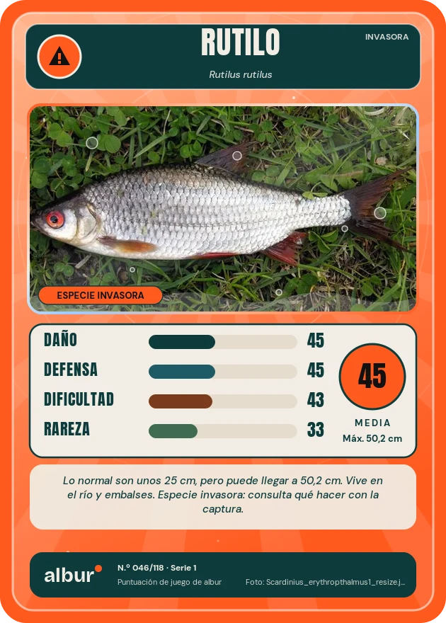 Carta de albur: Rutilo