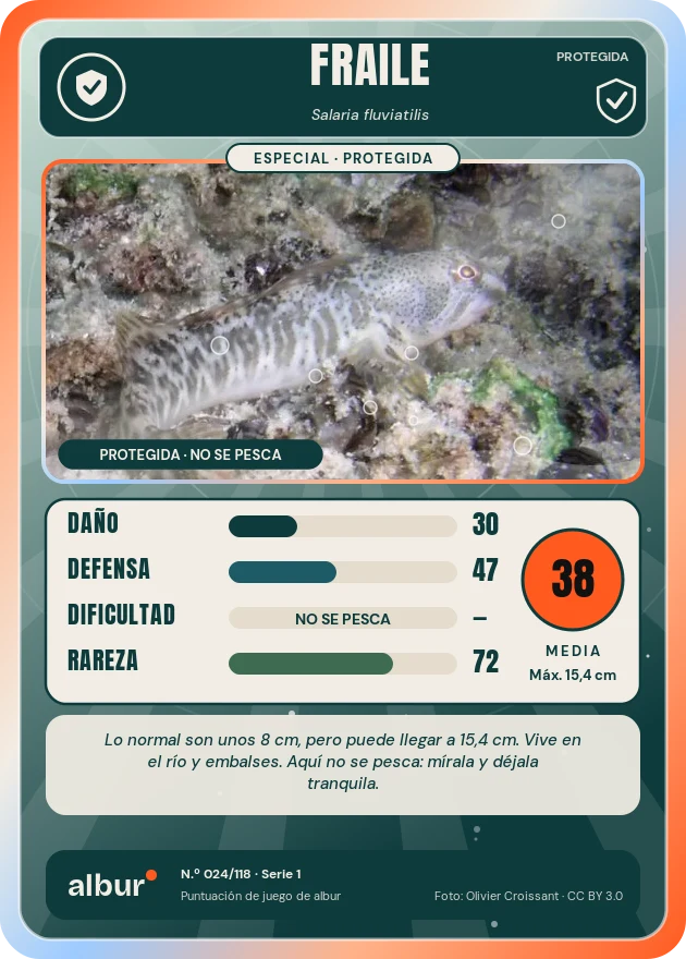Carta de albur: Fraile
