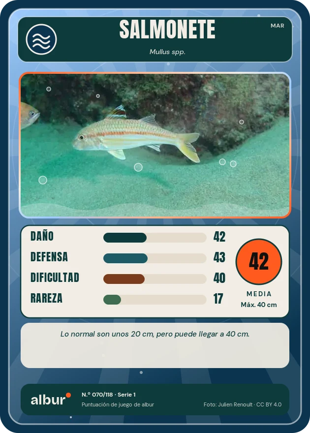 Carta de albur: Salmonete