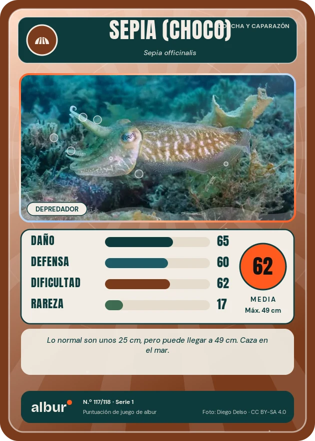 Carta de albur: Sepia (choco)