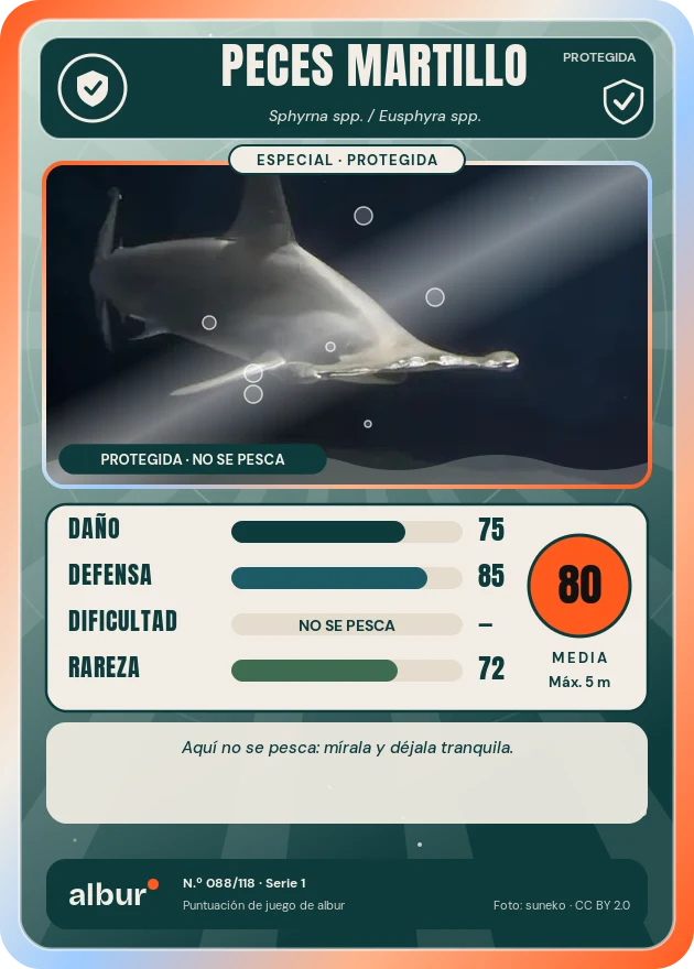 Carta de albur: Peces martillo